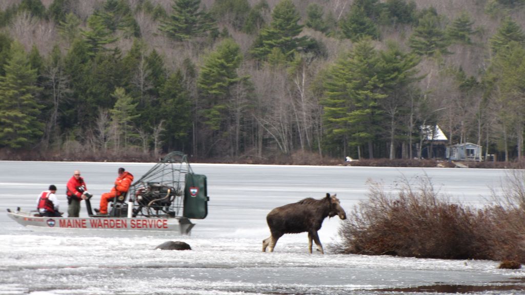 Moose Pond Association Moose Pond Association Bridgton, Maine