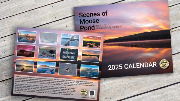 2025 NJC Scenes of Moose Pond Calendar