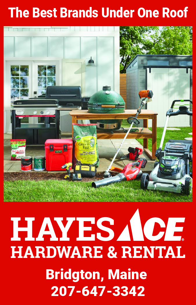 Hayes Ace Hardware & Rental